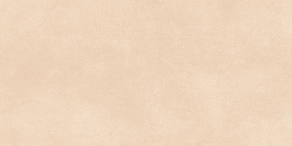 Downtown Ivory InOut 24x48