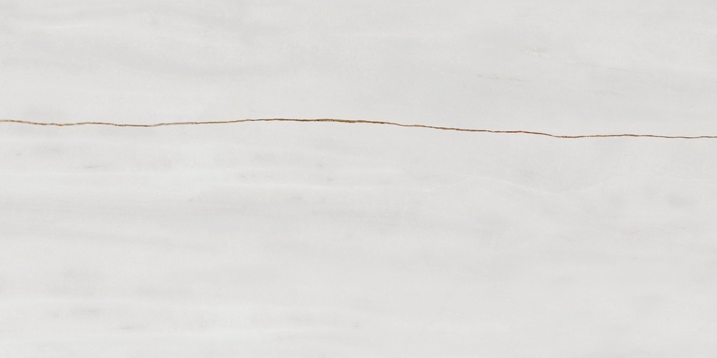 Massa White Polished 24X48