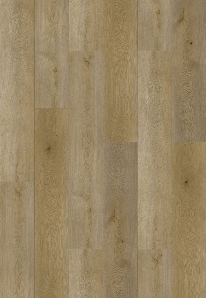 SPC Element Luxor Basel Oak