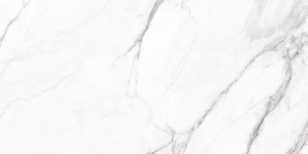 Vagli Polished 24X48