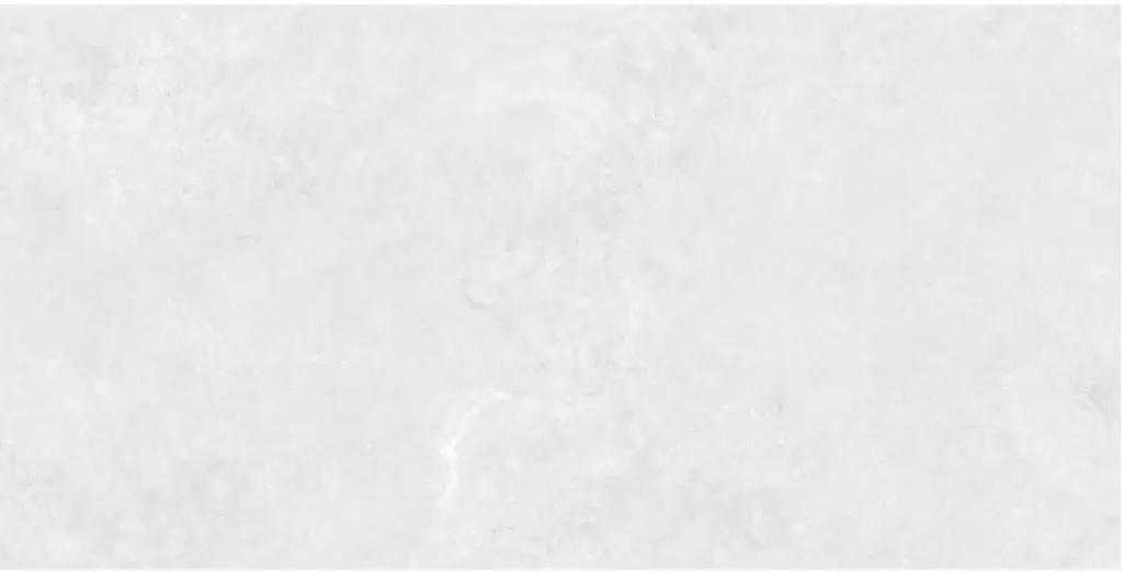 Corezzi Light Grey 24x48 TP6012B4010