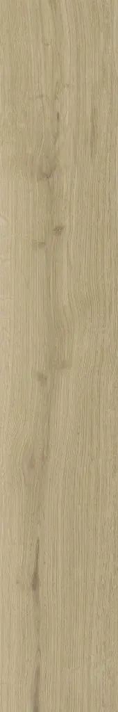 Naku Miele 10x60