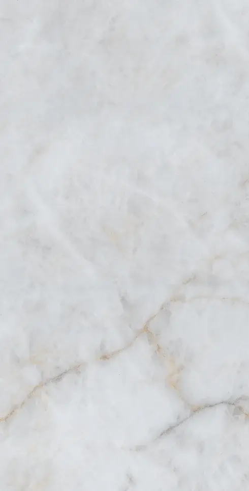 Mirage Polished HD 24x48