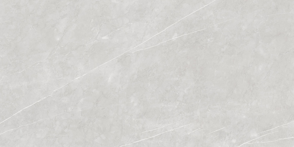 Aran Light Grey Polished 24X48