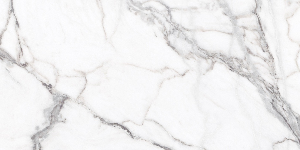 Vagli Polished 24X48