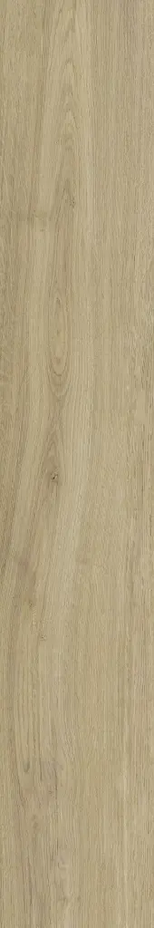Naku Miele 10x60