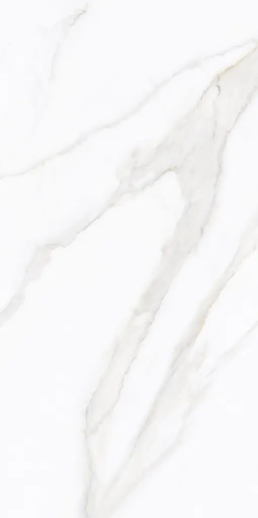 Zara Blanco Pulido 24x48 TC6012A0060