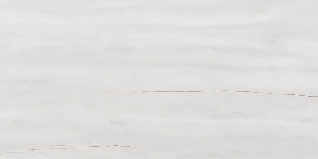 Massa White Polished 24X48