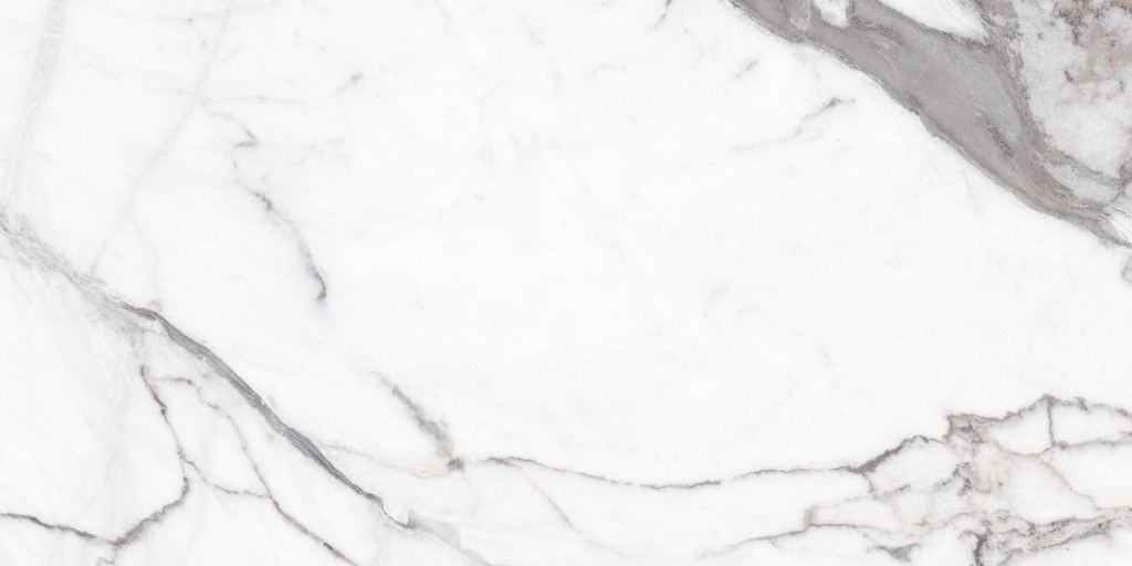 Vagli Polished 24X48