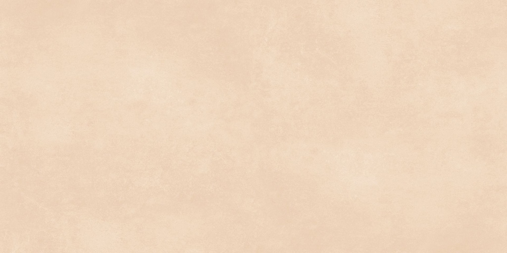 Downtown Ivory InOut 24x48