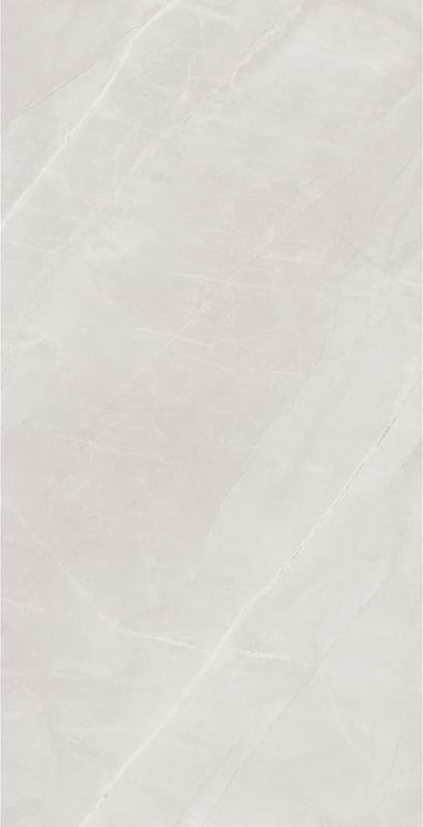 Elegant Bianco Polished 24X48