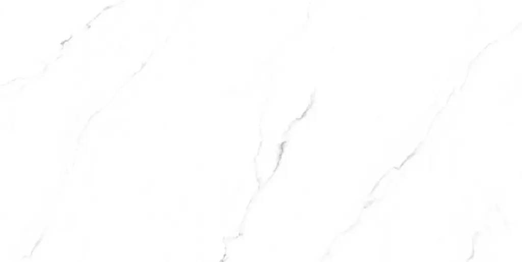 Fornalutx White Polished 24x48 TC6012A0620