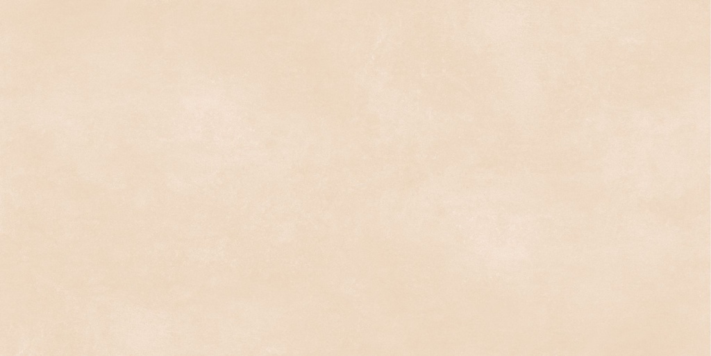 Downtown Ivory InOut 24x48