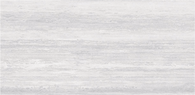Arcadia Gray Polished 24x48 TC6012A0480