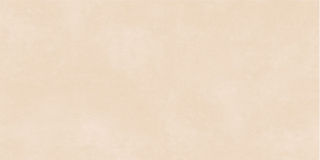 Downtown Ivory InOut 24x48