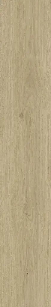 Naku Miele 10x60