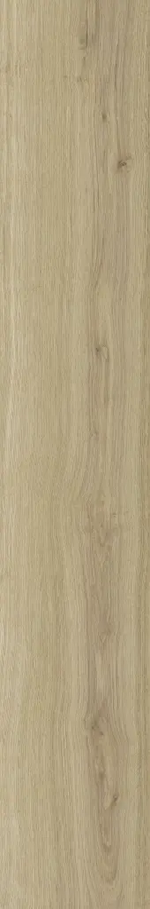Naku Miele 10x60