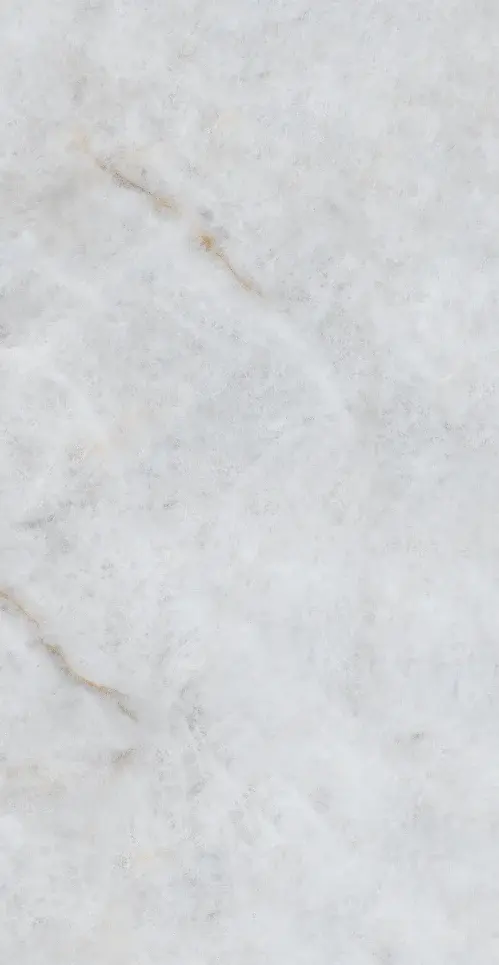 Mirage Polished HD 24x48